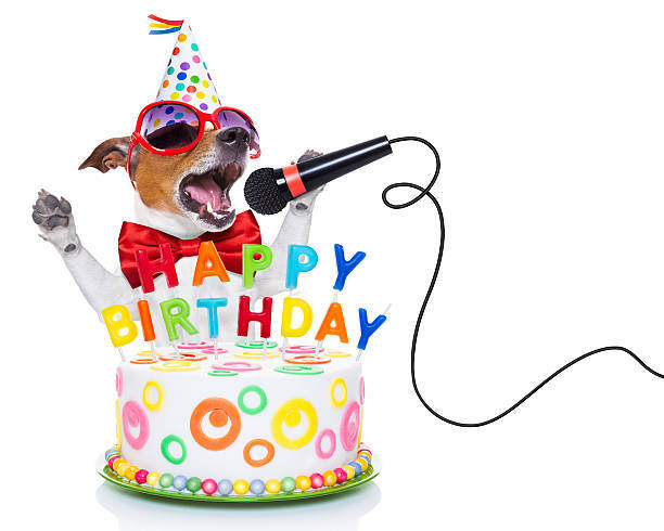picture of a dog with a birthday cake 